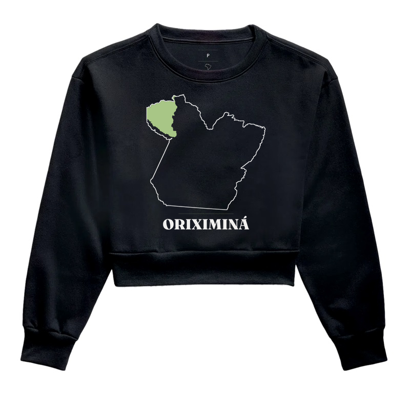 Oriximiná | Traço PA - Imagem 2