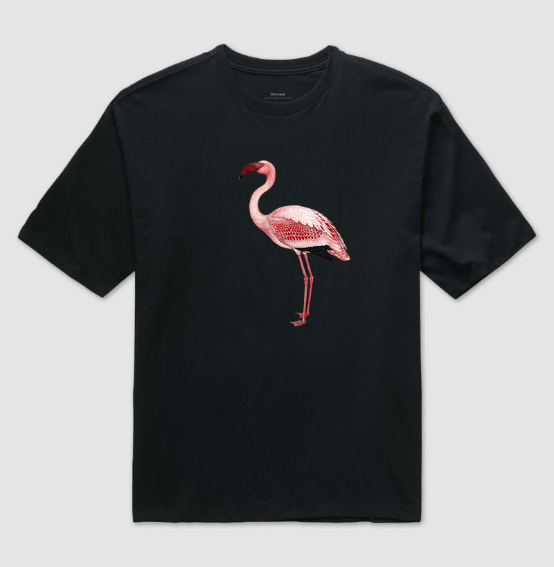 Flamingo - Imagem 2