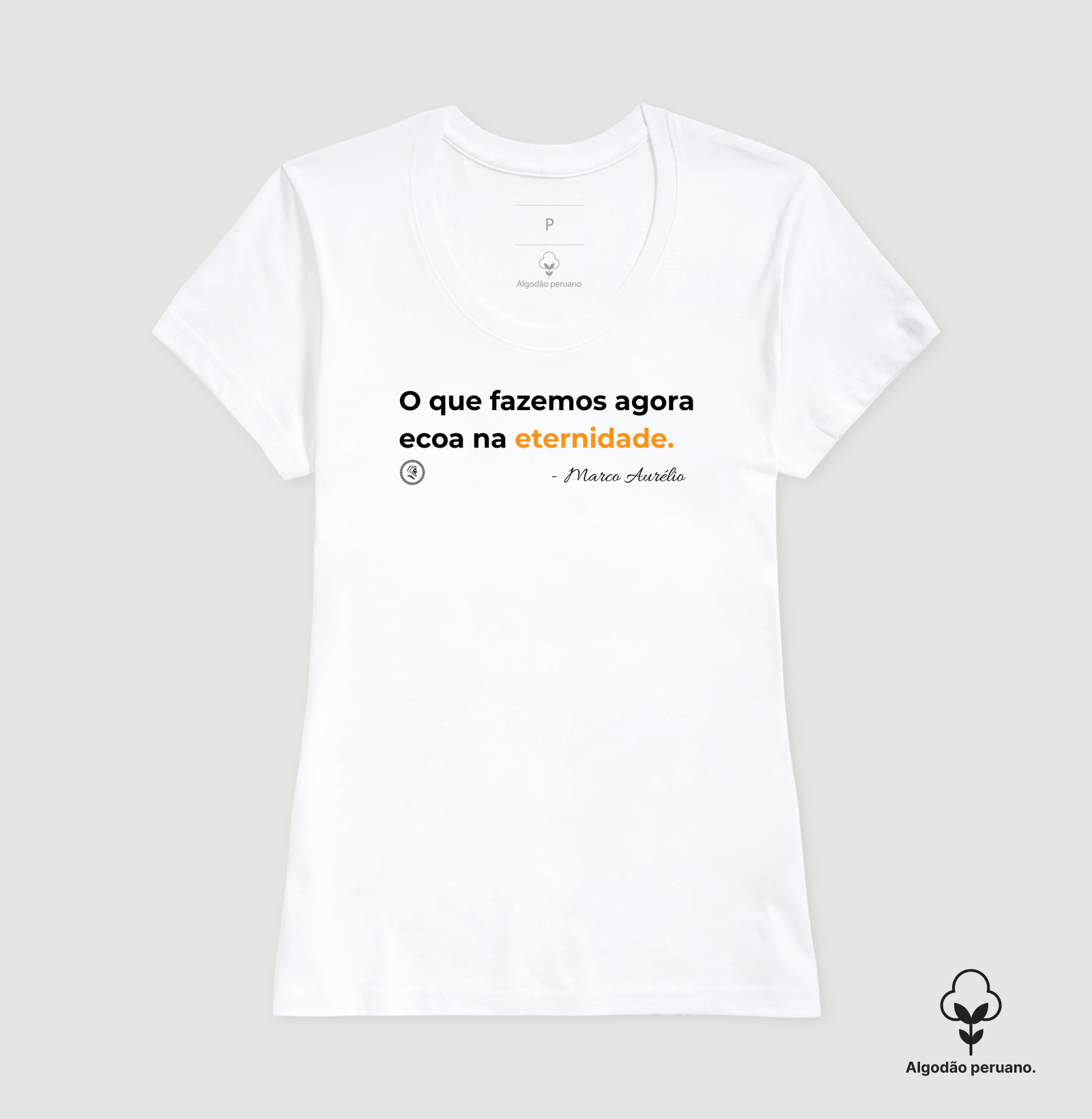 Estoicismo de Marco Aurélio "Ecoa na eternidade" - Imagem 6