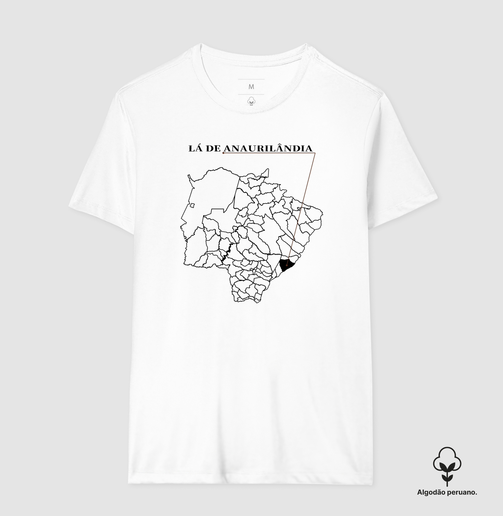Anaurilândia | Origem MS - Imagem 5