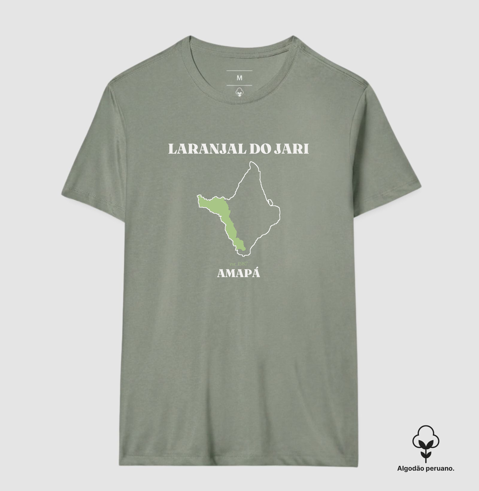 Laranjal do Jari | Legado AP - Imagem 9