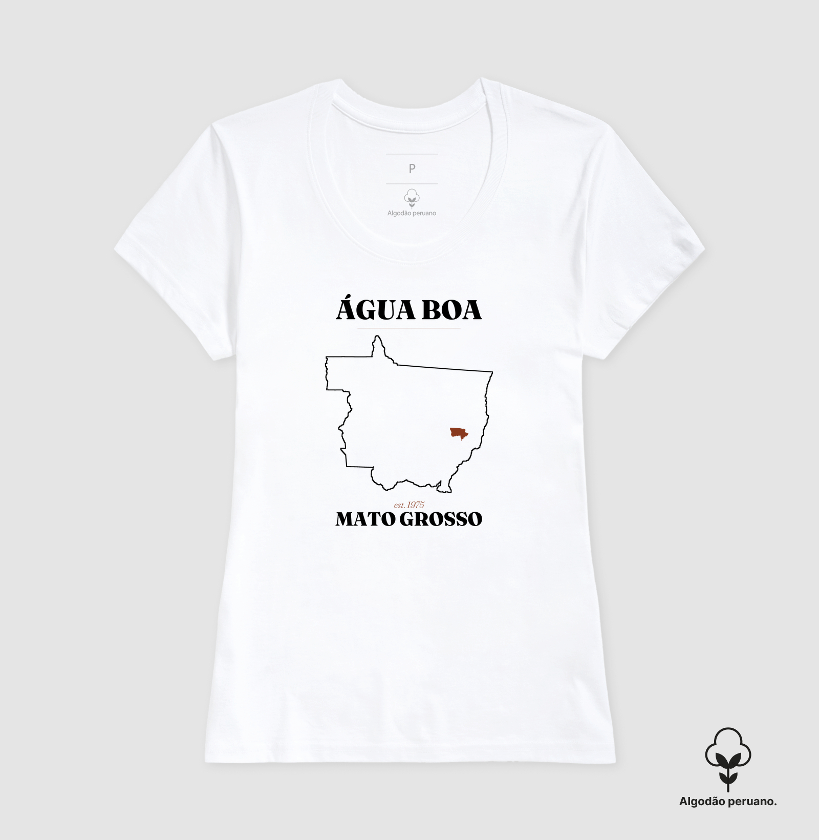 Água Boa | Legado MT - Imagem 4