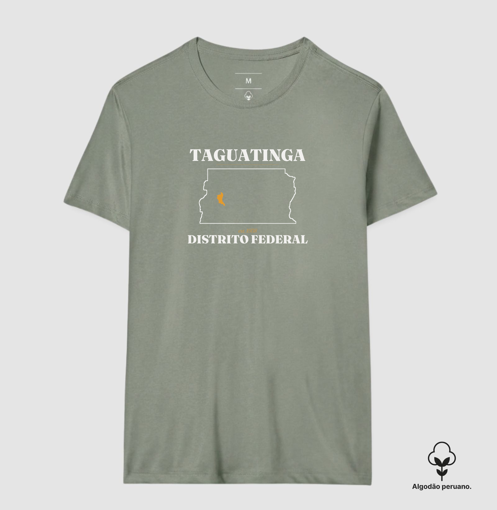 Taguatinga | Legado DF - Imagem 7