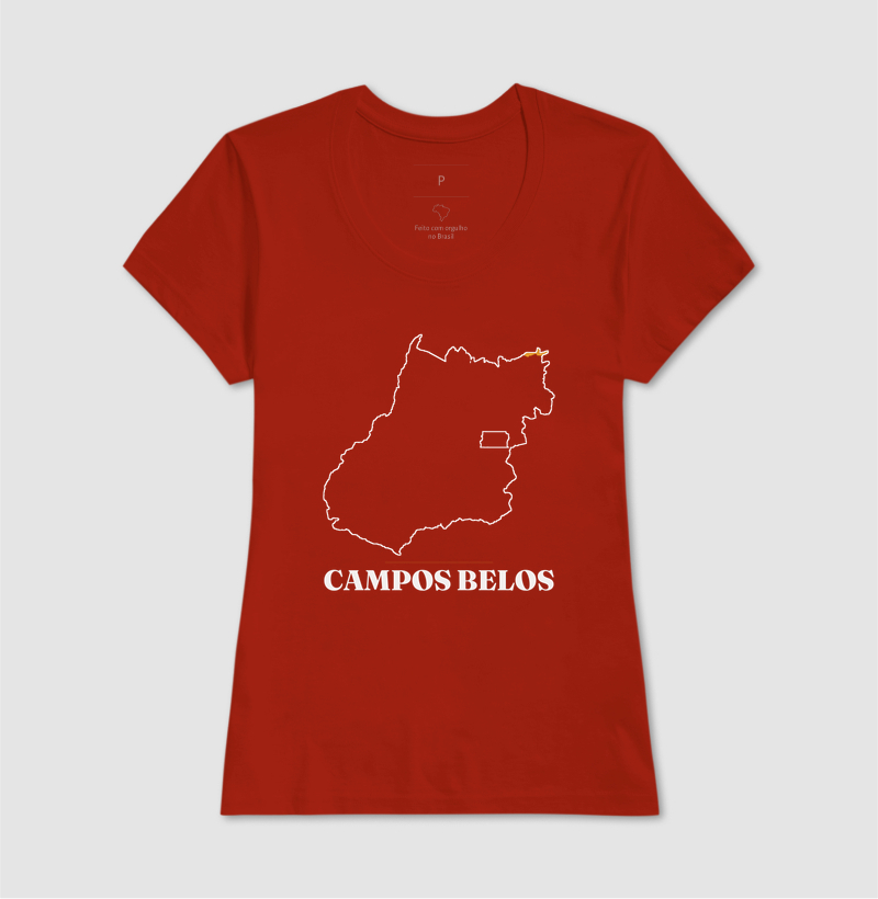 Campos Belos | Traço GO - Imagem 11