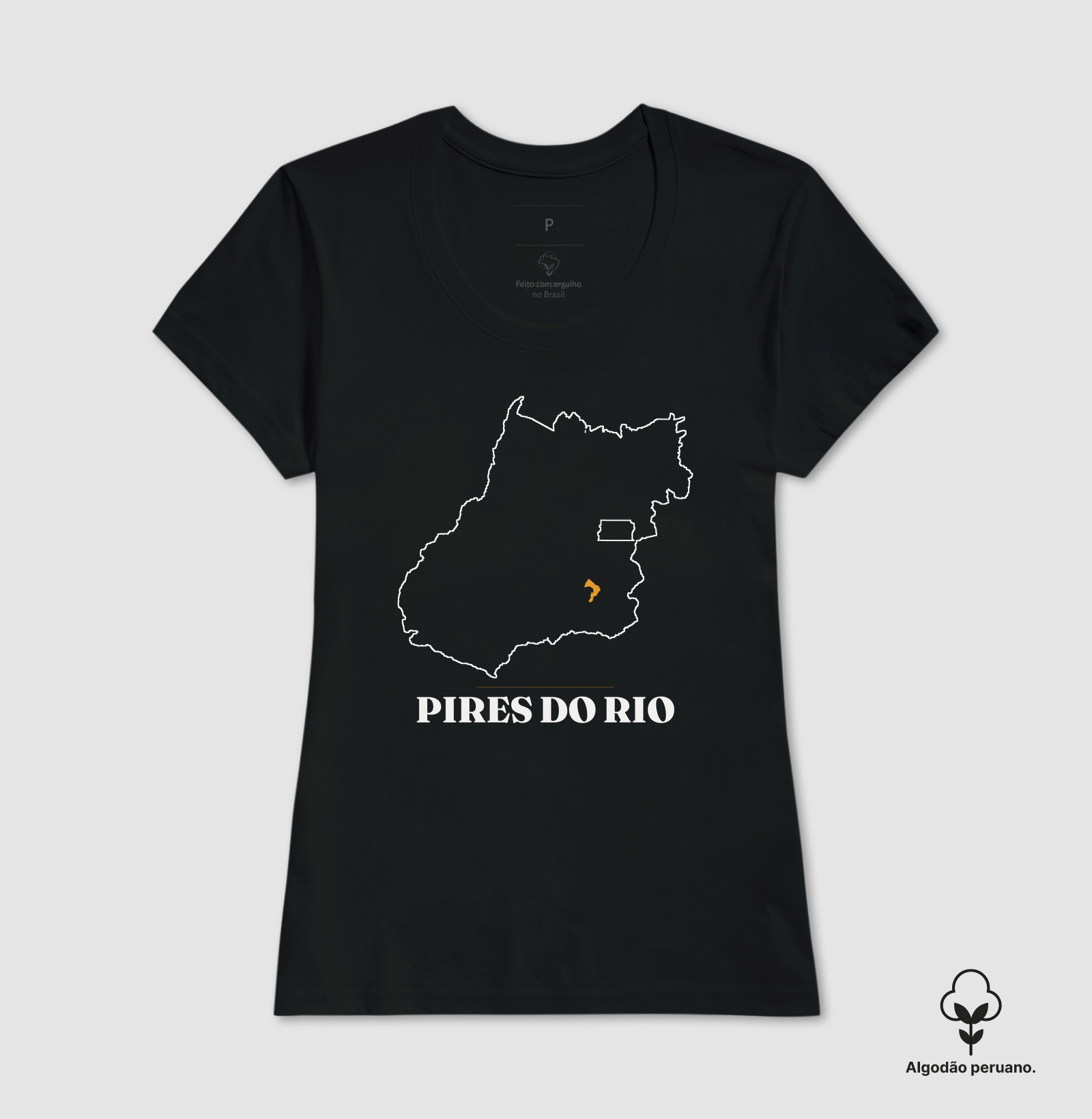 Pires do Rio | Traço GO - Imagem 5