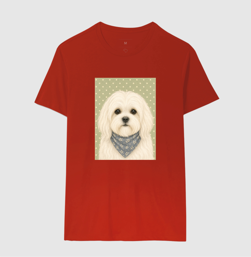 Maltese - Gentle Paws - Imagem 10