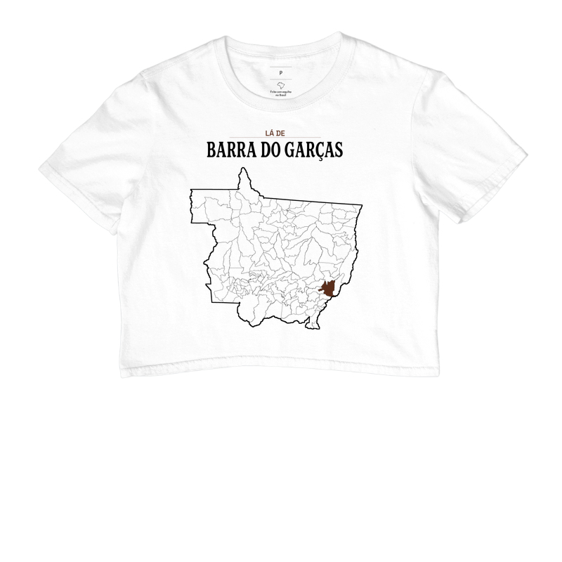Barra do Garças | Território MT - Imagem 3
