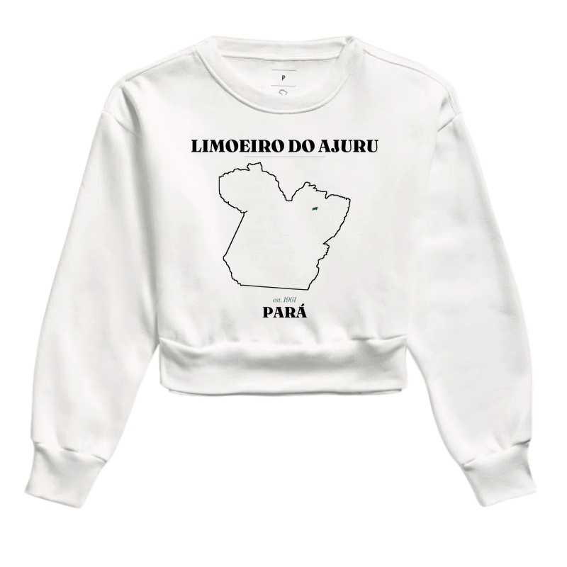 Limoeiro do Ajuru | Legado PA - Imagem 3