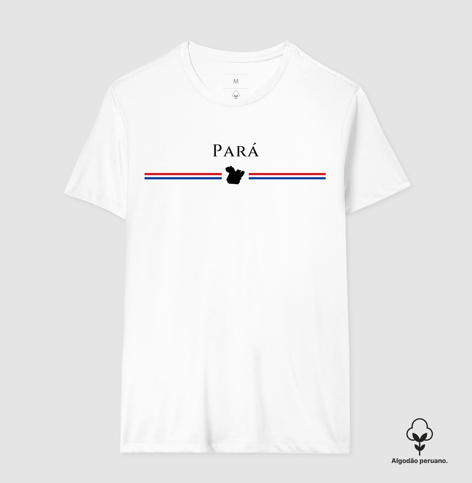Pará | Tradição - Imagem 6