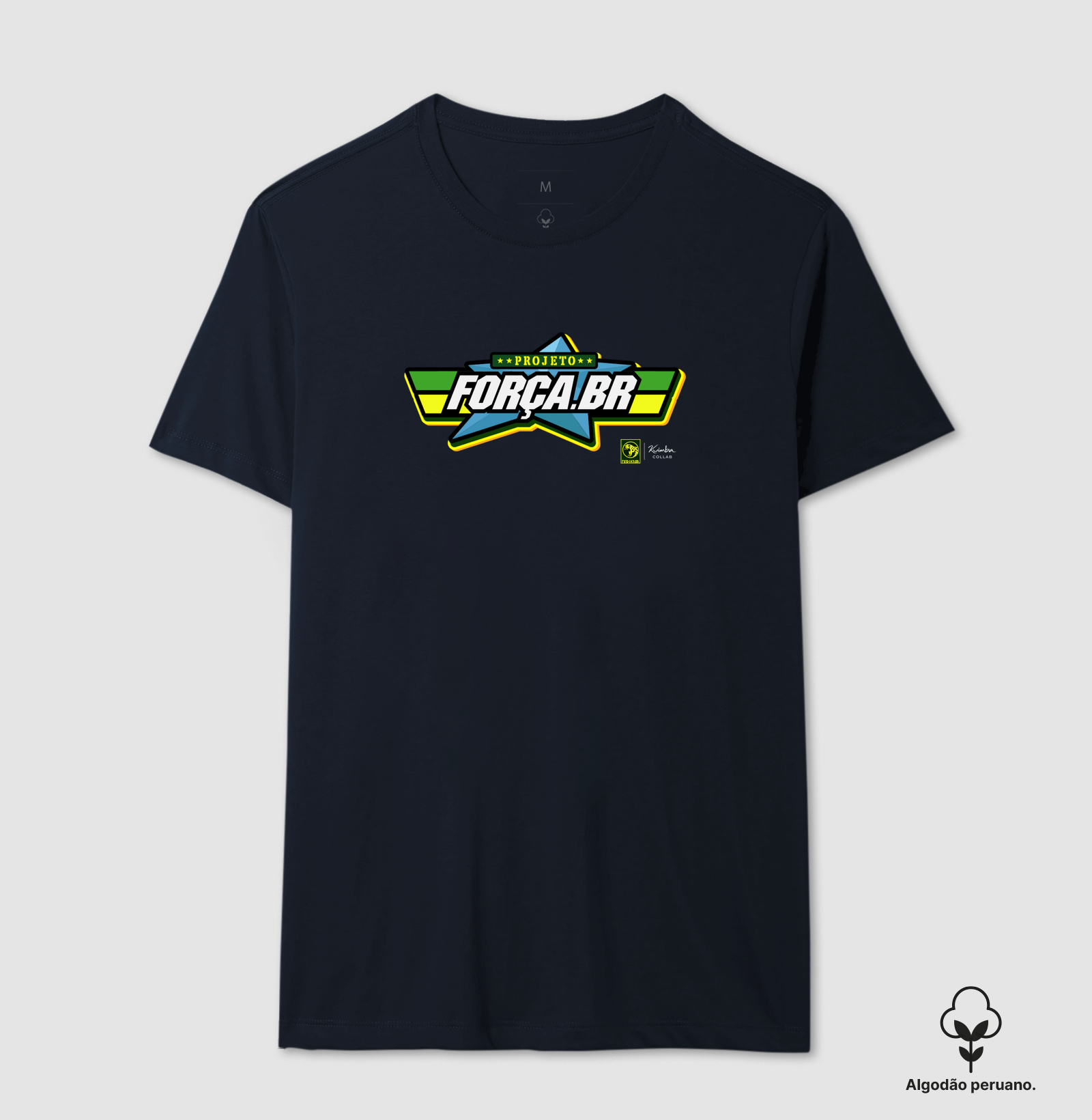 Projeto Força BR - Imagem 8