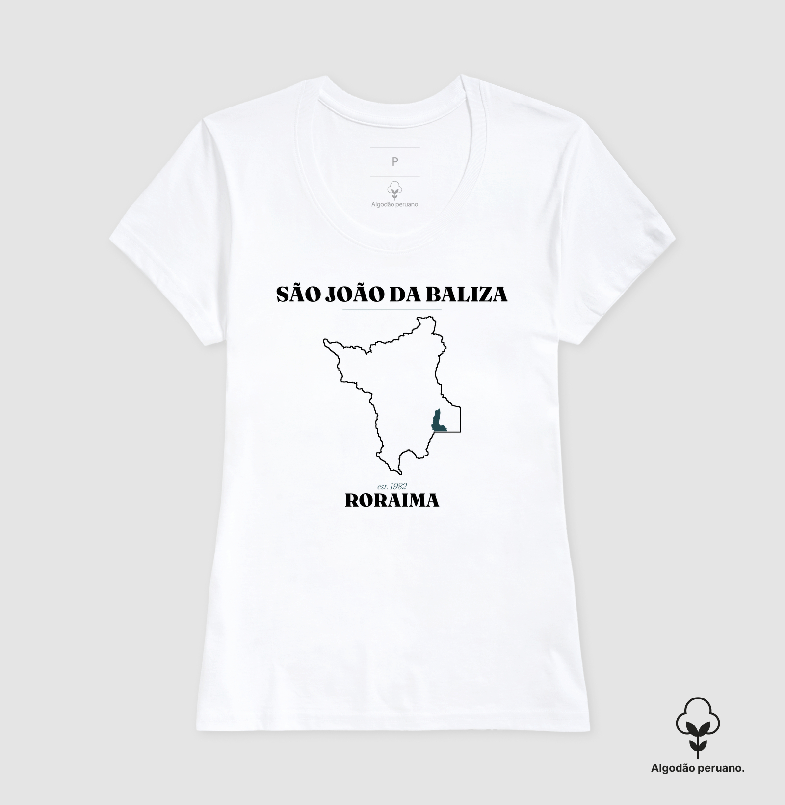 São João da Baliza | Legado RR - Imagem 8