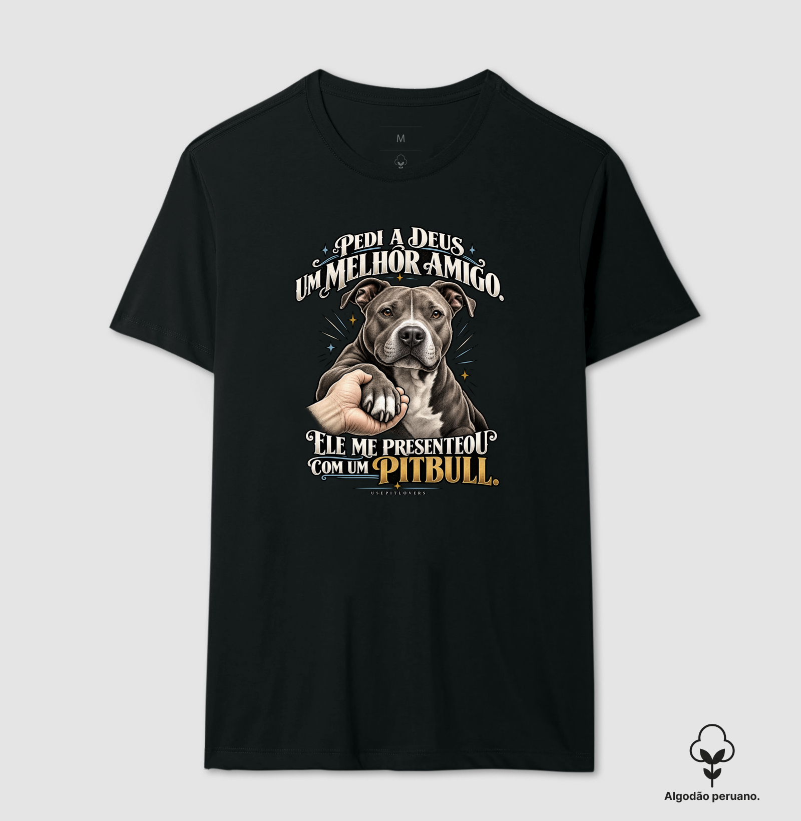 PEDI A DEUS UM MELHOR AMIGO E ELE ME PRESENTEOU COM UM PITBULL. - Imagem 4