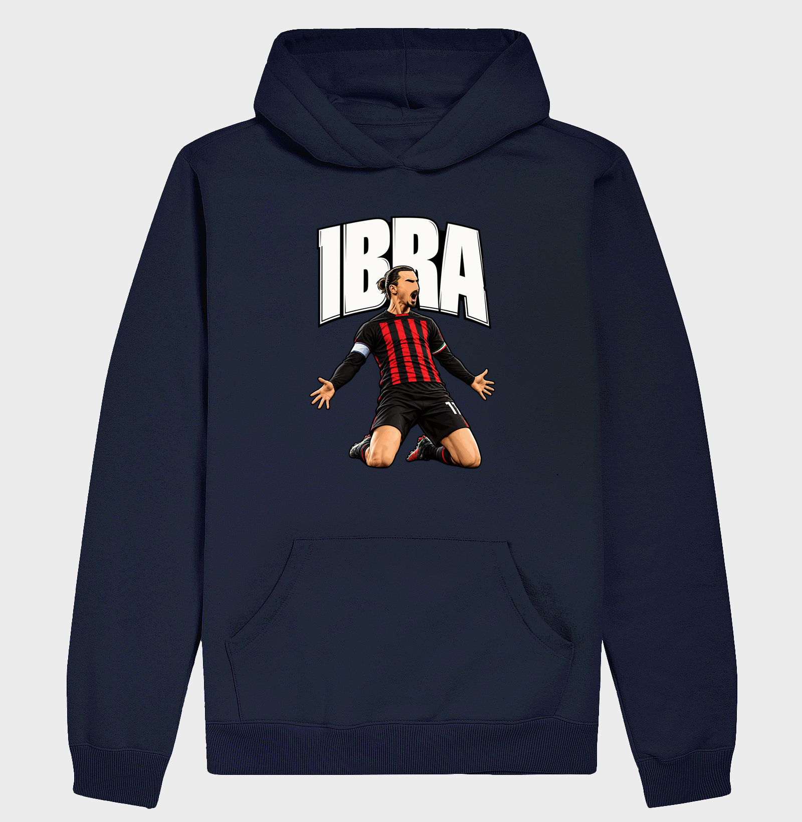 IBRA - Imagem 4