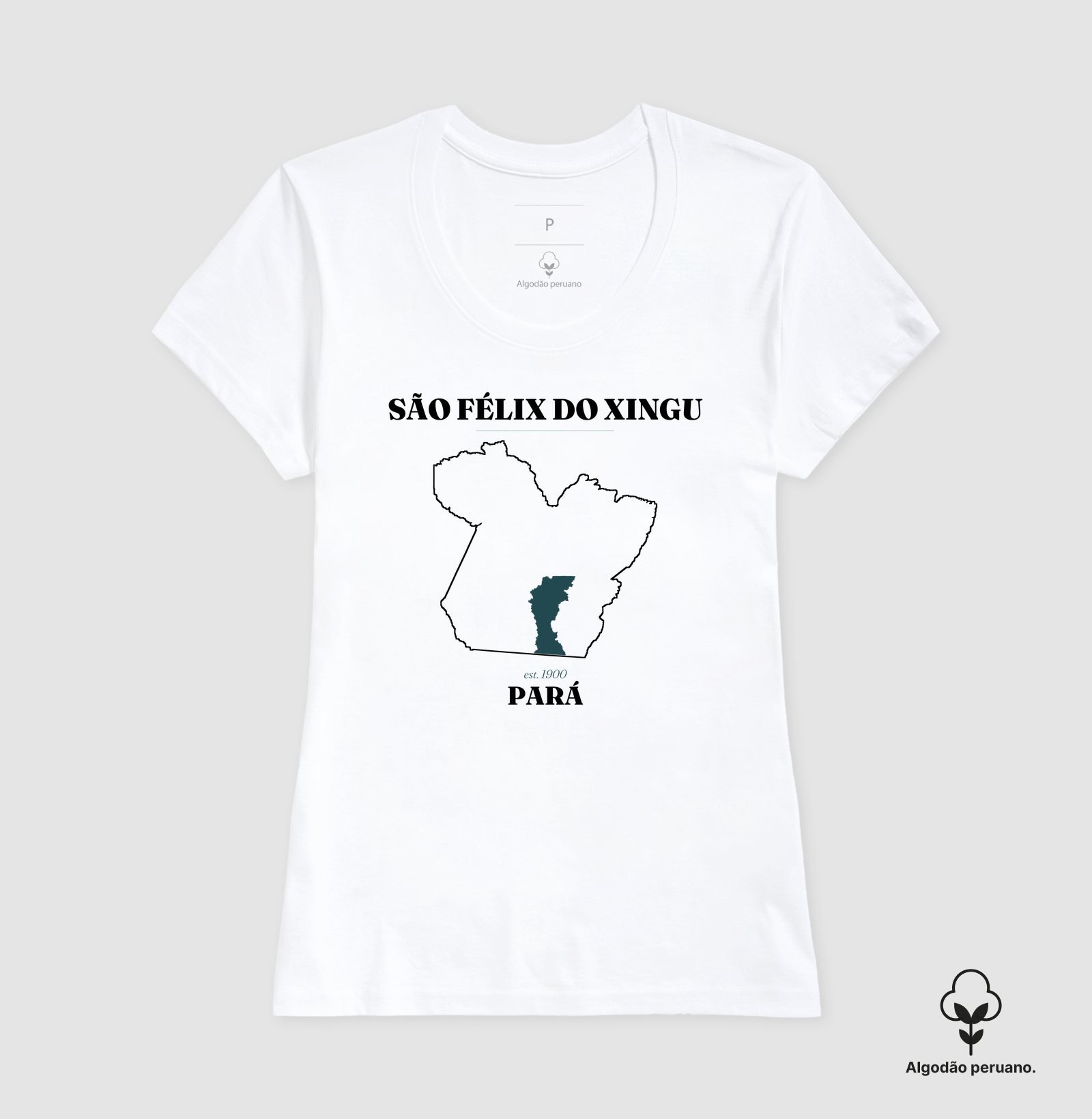São Félix do Xingu | Legado PA - Imagem 9