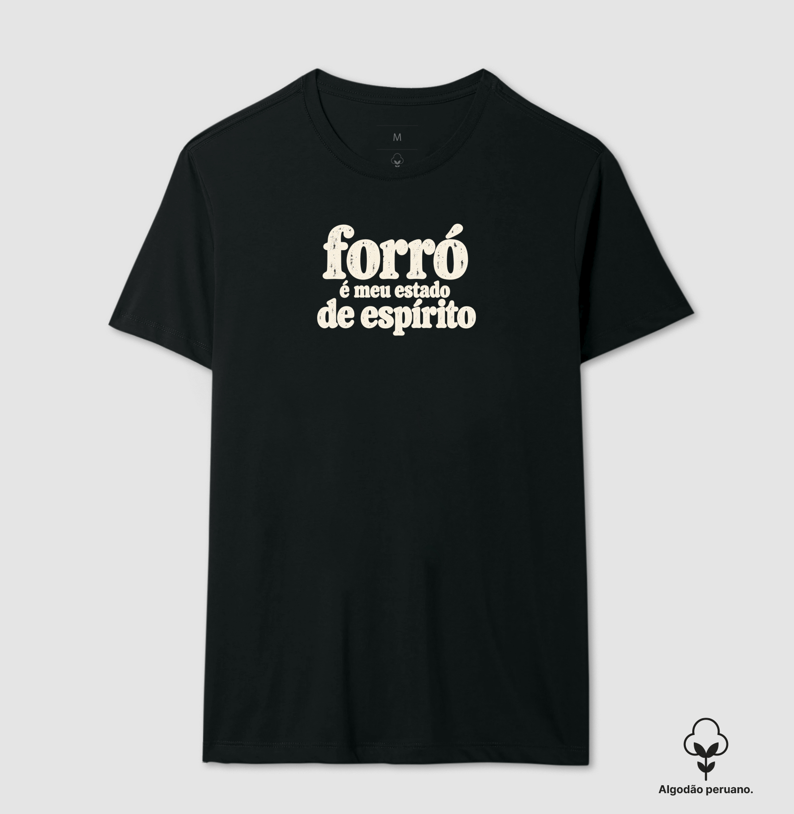 Forró é meu estado de espírito - Imagem 2