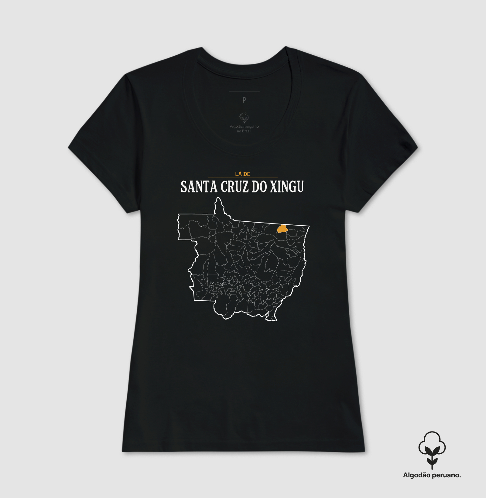 Santa Cruz do Xingu | Território MT - Imagem 2