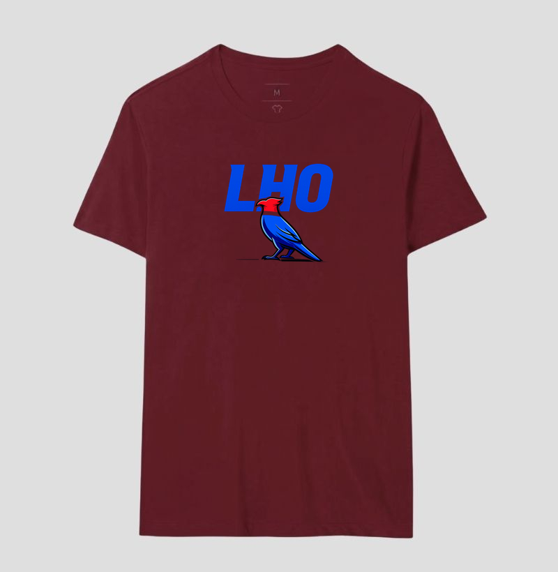 Camisa 17