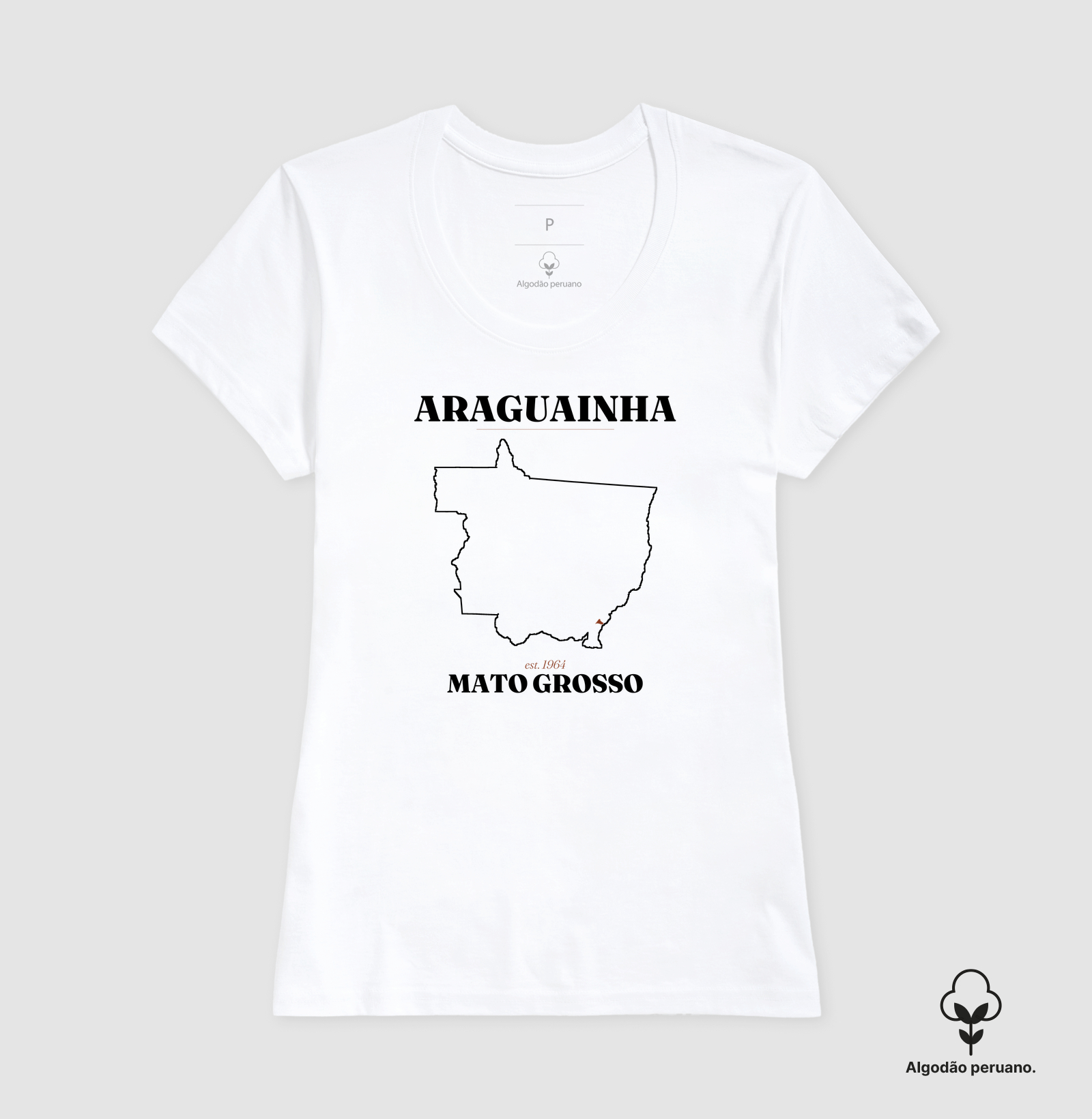Araguainha | Legado MT - Imagem 8