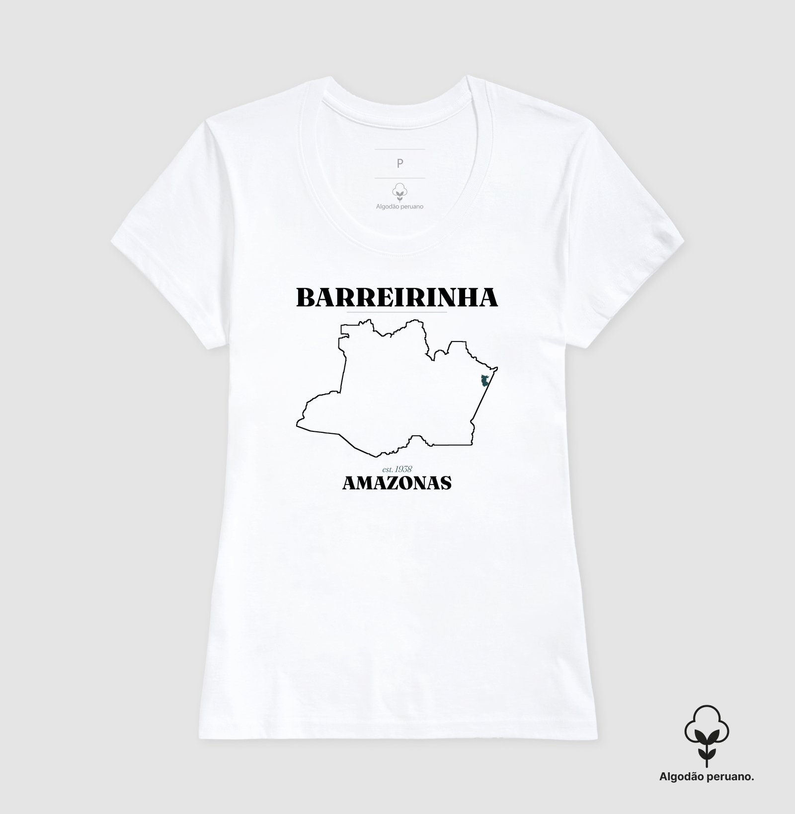 Barreirinha | Legado AM - Imagem 7