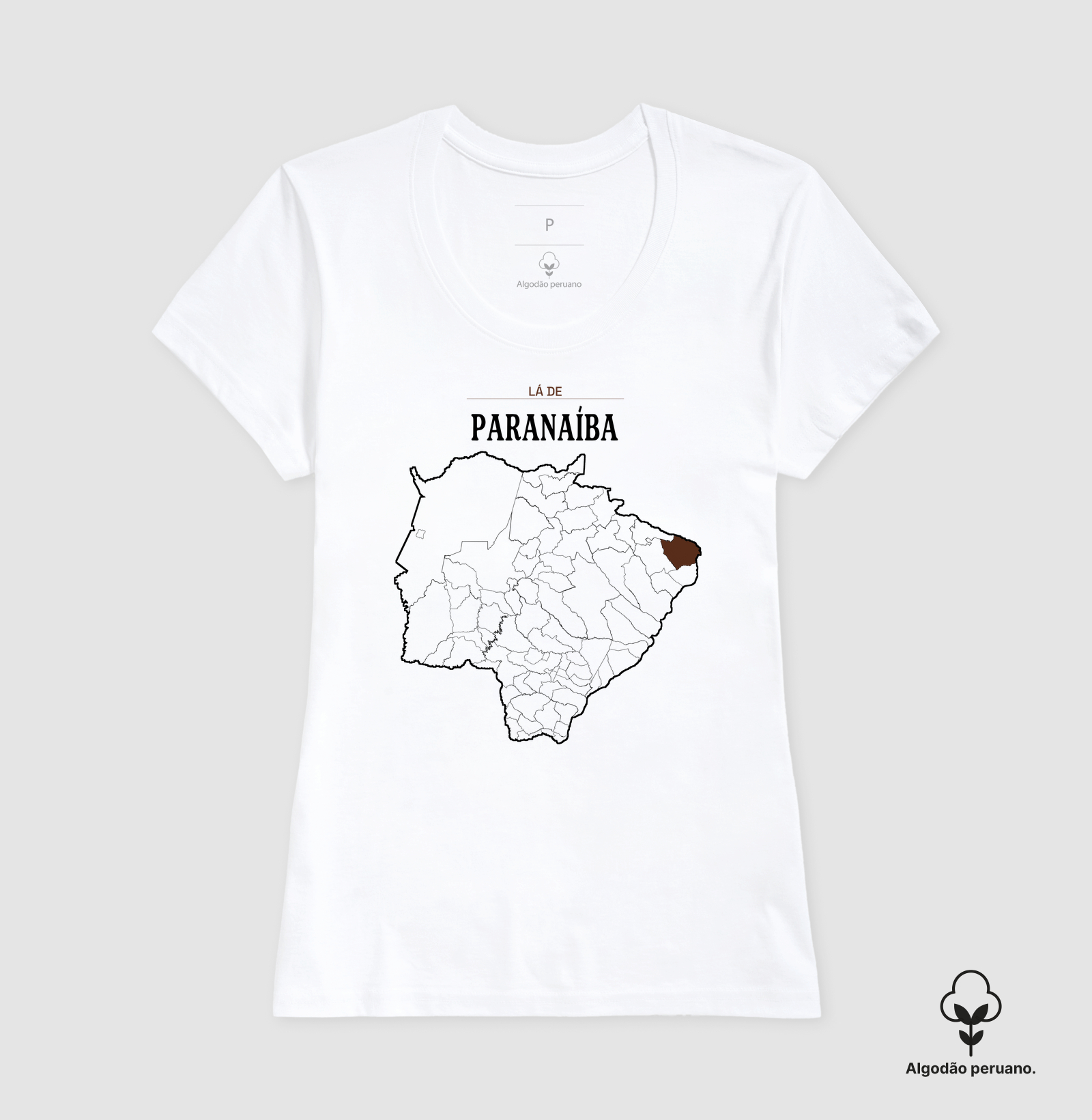 Paranaíba | Território MS - Imagem 6
