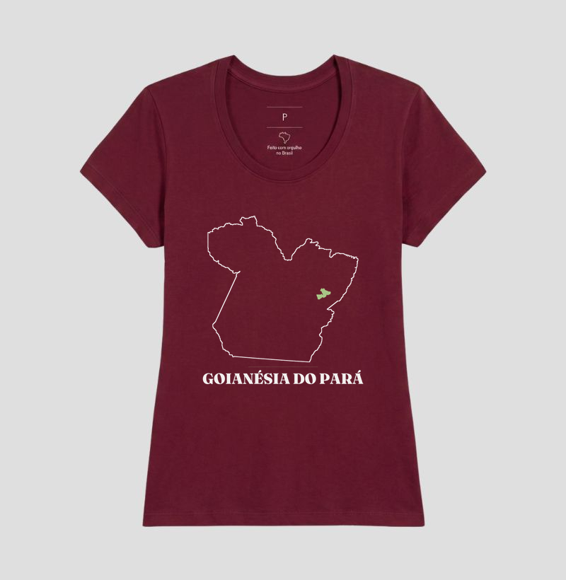 Goianésia do Pará | Traço PA - Imagem 19