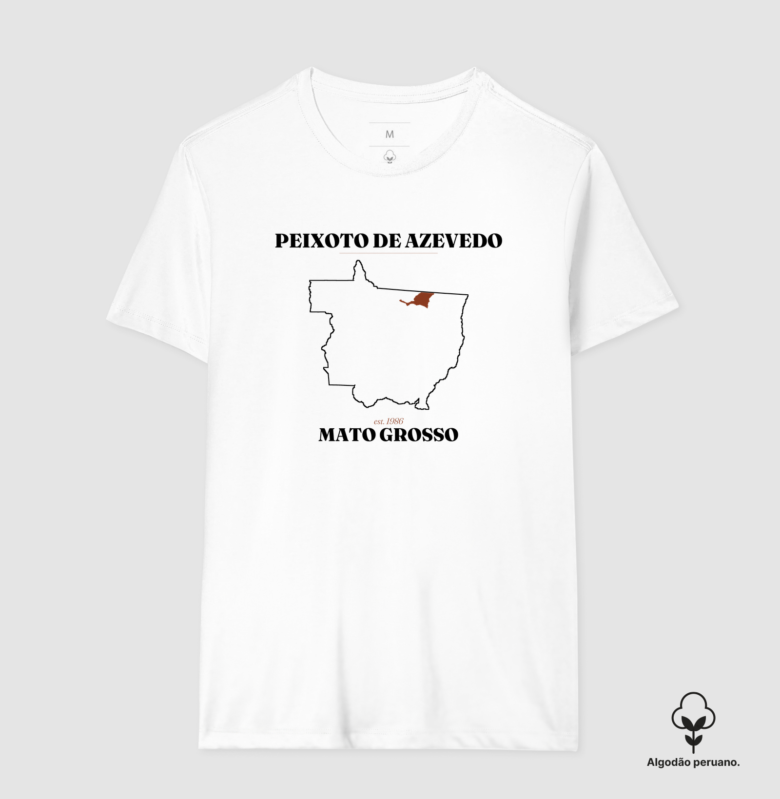 Peixoto de Azevedo | Legado MT - Imagem 5
