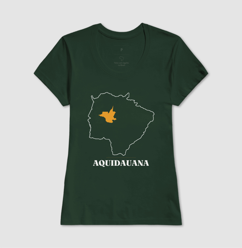 Aquidauana | Traço MS - Imagem 13