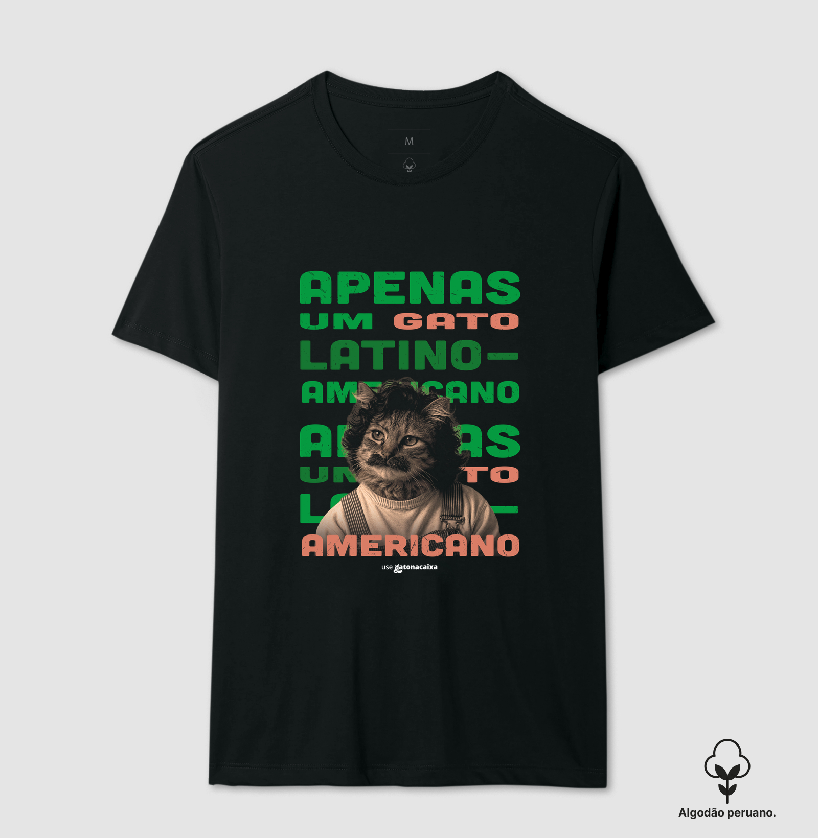 Apenas um gato latino-americano - Imagem 2