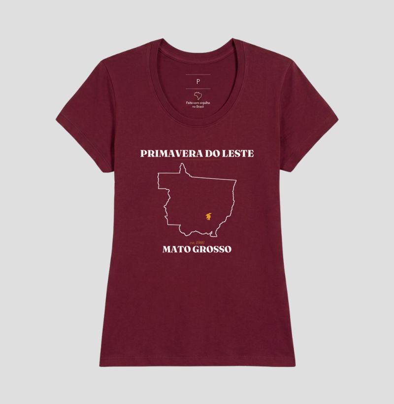 Primavera do Leste | Legado MT - Imagem 19