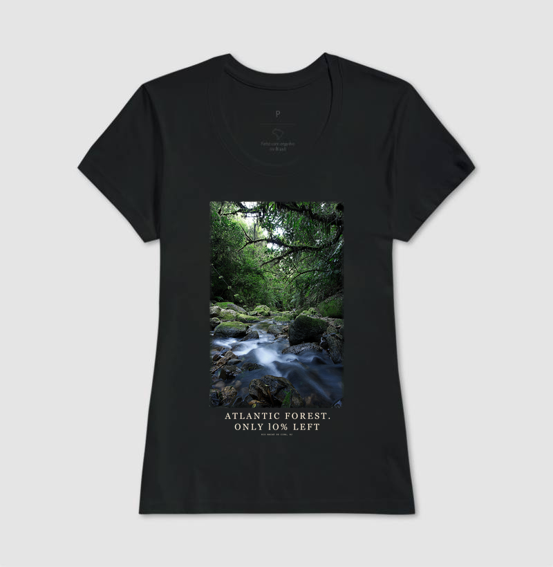 Atlantic Forest - Imagem 3