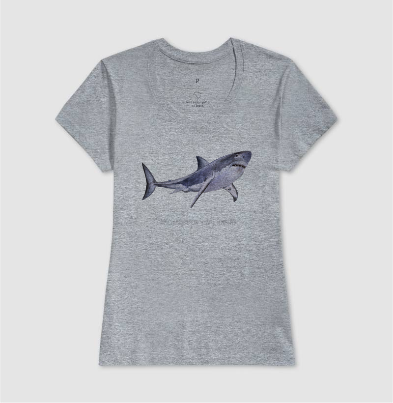 Carcharodon carcharias - Imagem 11