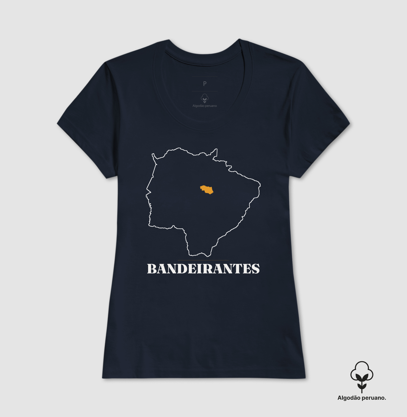 Bandeirantes | Traço MS - Imagem 4