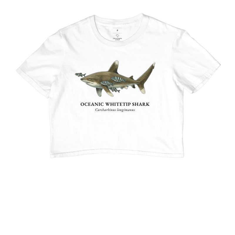 Oceanic Whitetip Shark - Imagem 5