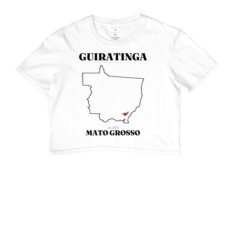 Guiratinga | Legado MT - Imagem 3
