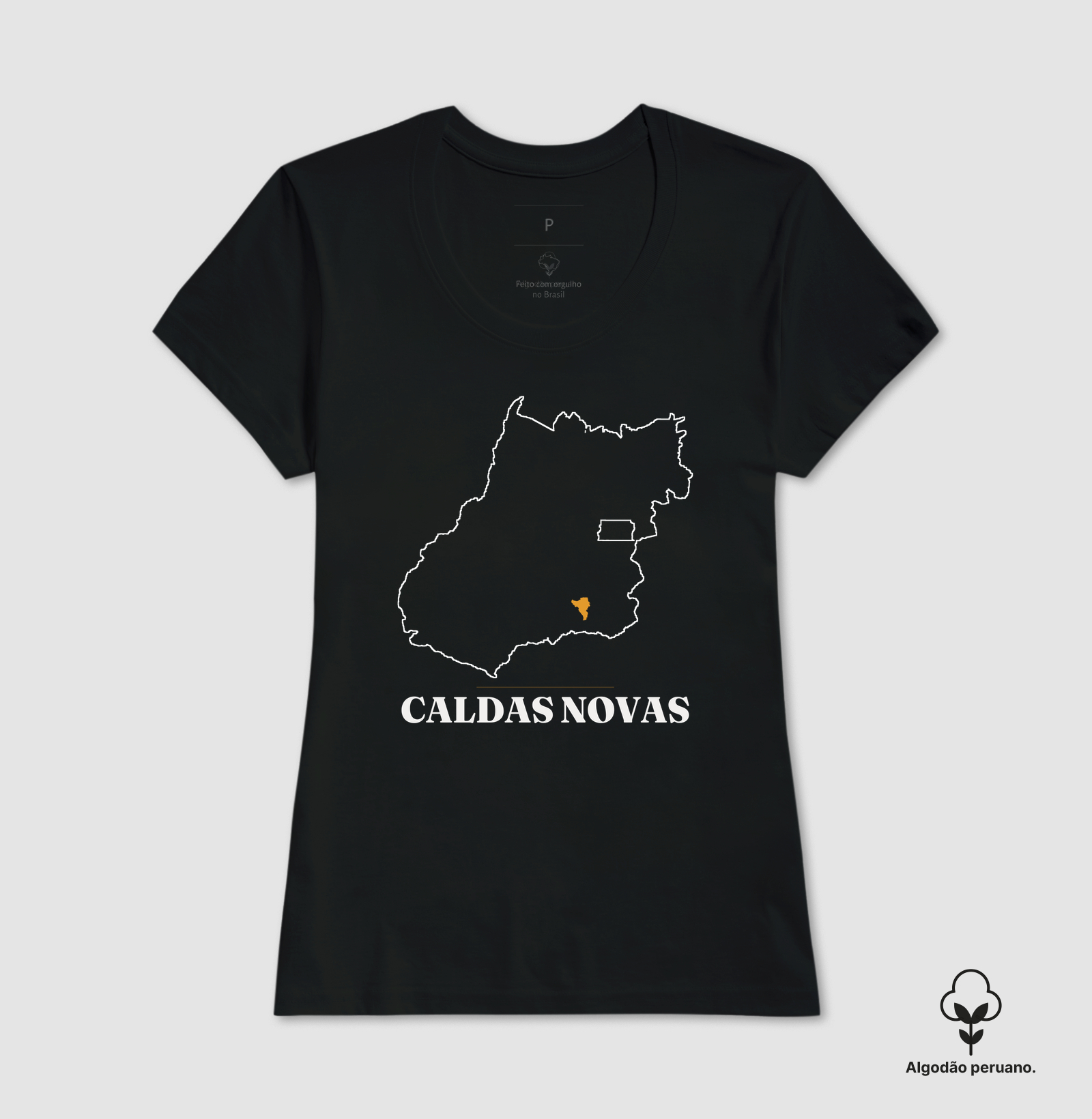 Caldas Novas | Traço GO - Imagem 3
