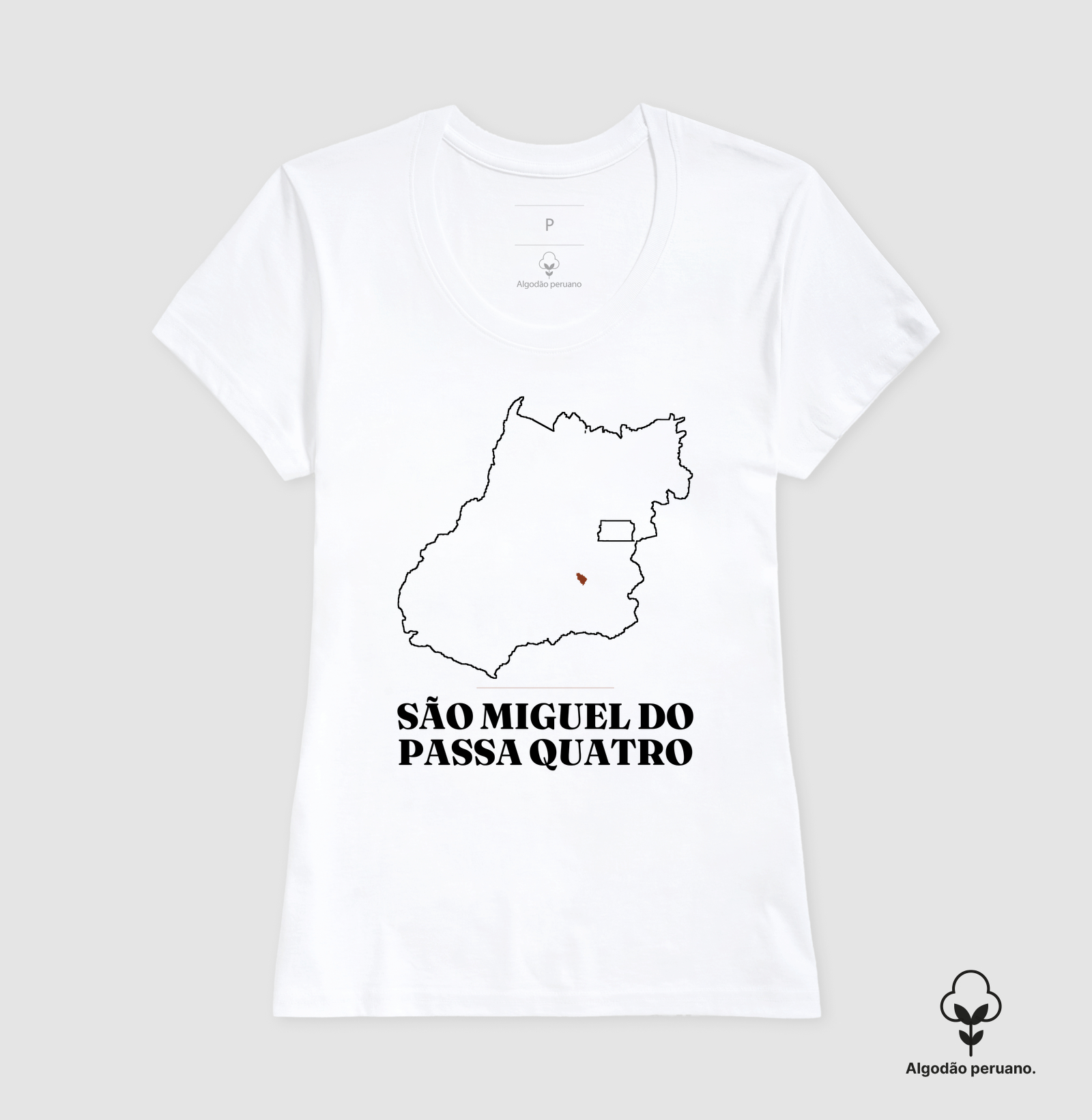 São Miguel do Passa Quatro | Traço GO - Imagem 5