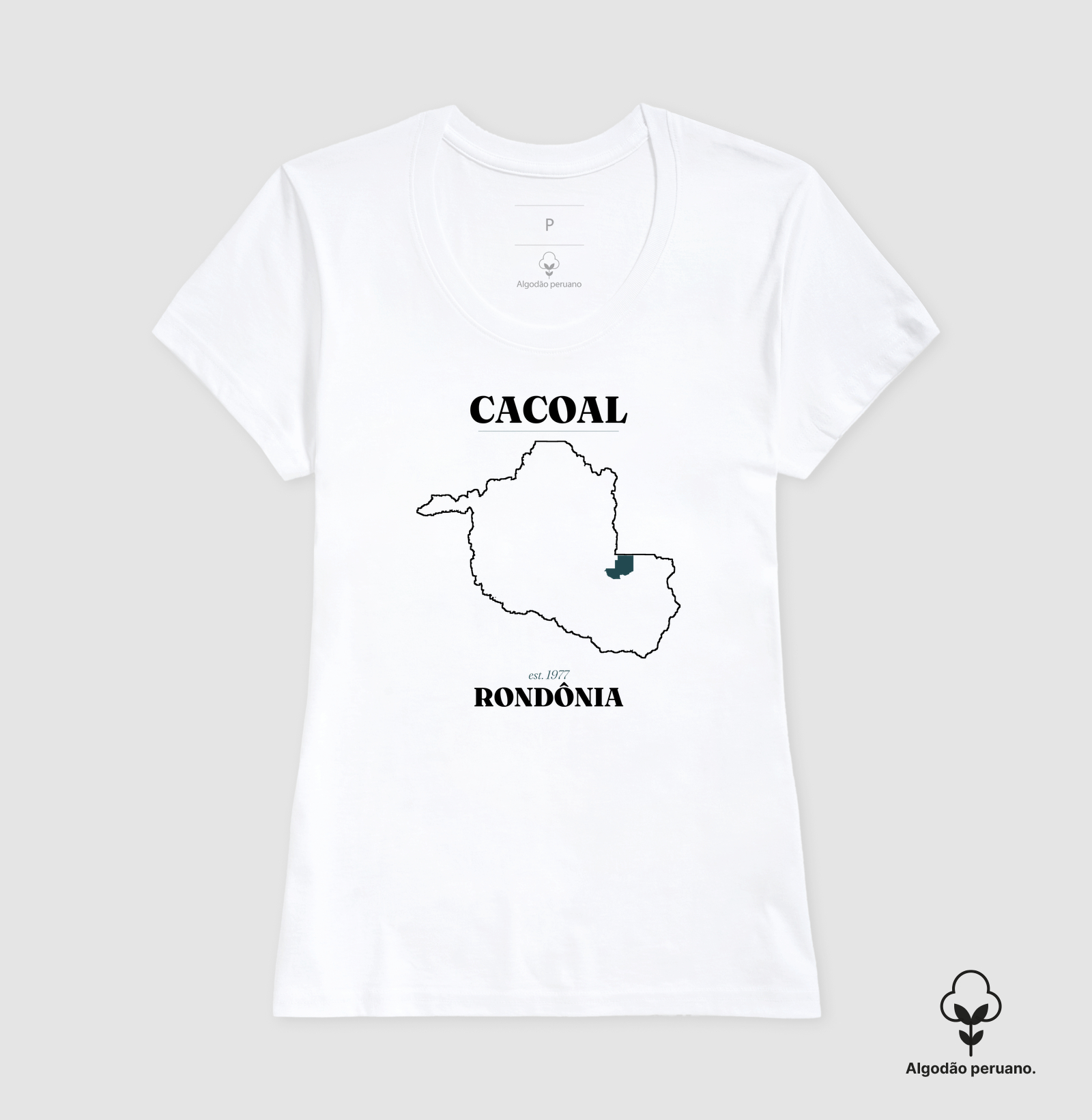 Camisa 1