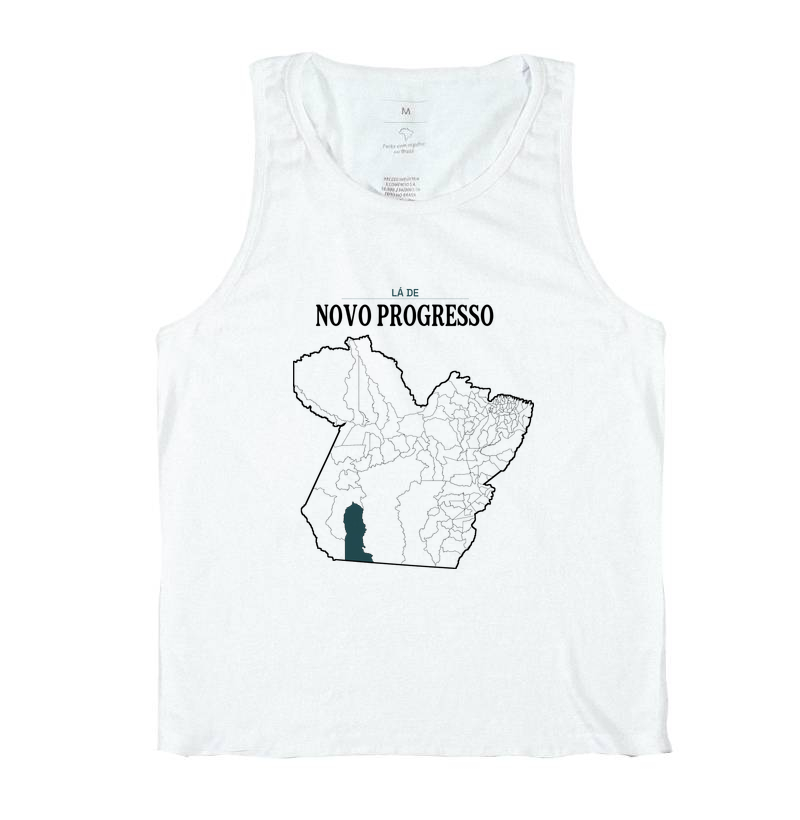 Novo Progresso | Território PA - Imagem 2