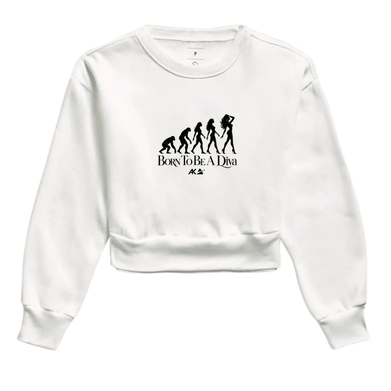 evolution - Imagem 3
