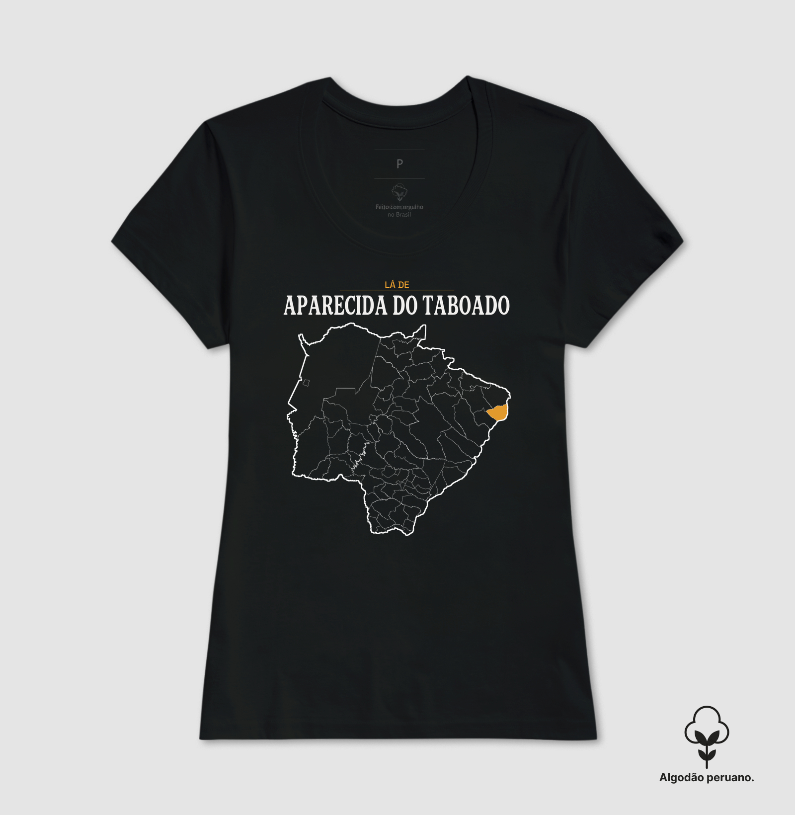 Aparecida do Taboado | Território MS - Imagem 6