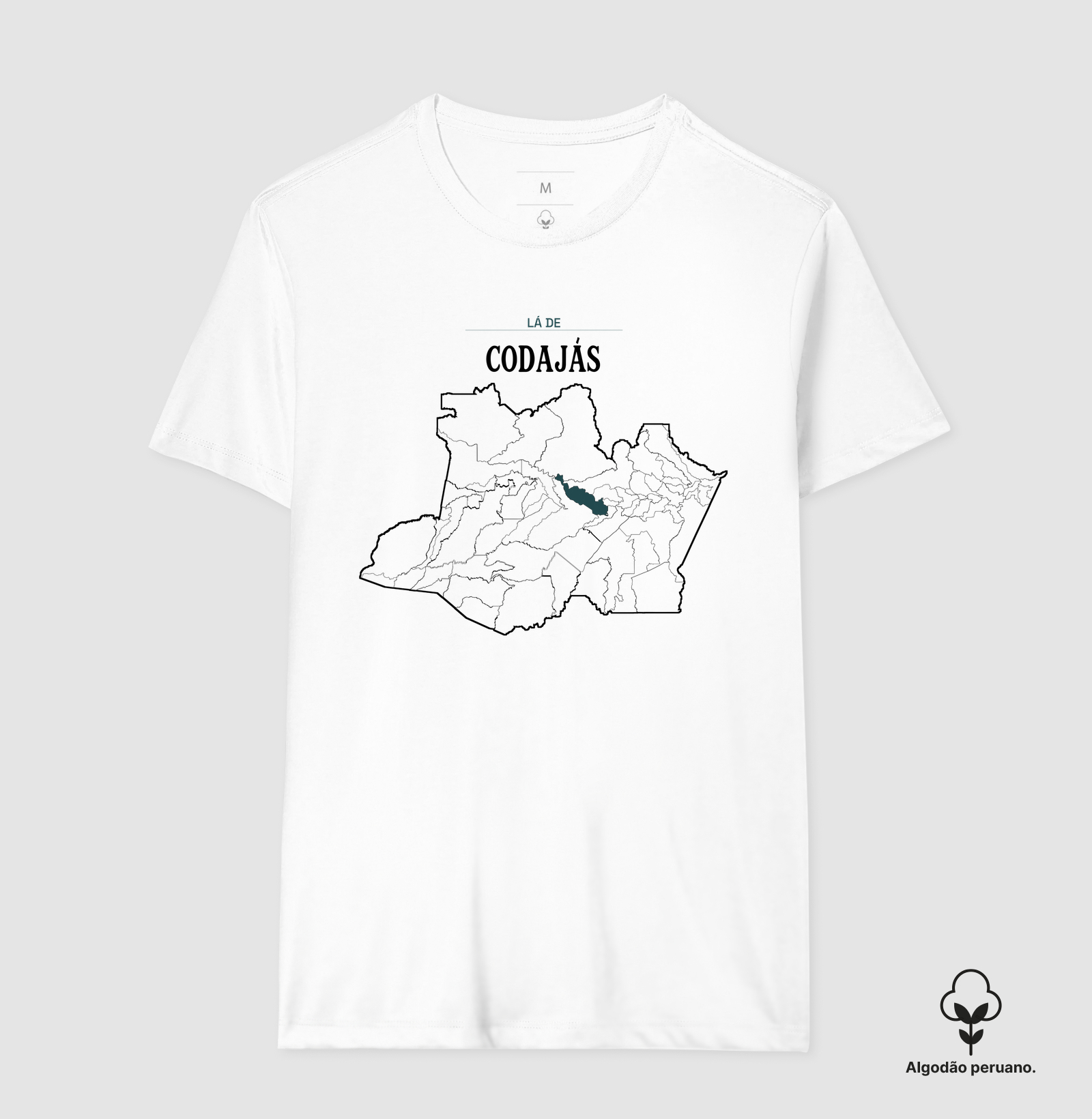 Codajás | Território AM - Imagem 7
