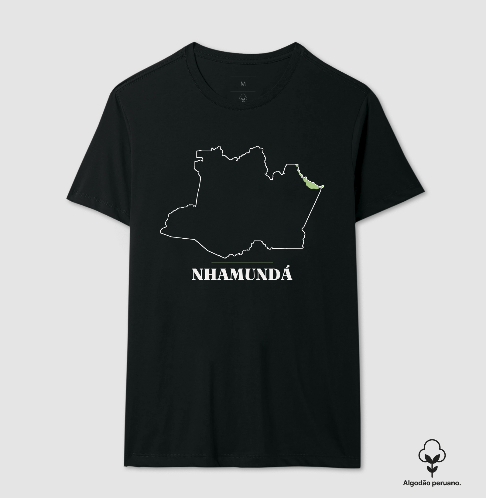 Nhamundá | Traço AM - Imagem 4