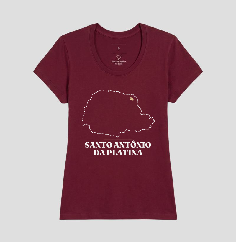 Santo Antônio da Platina | Traço PR - Imagem 19