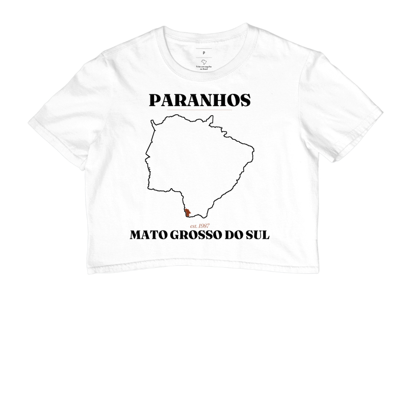 Paranhos | Legado MS - Imagem 3