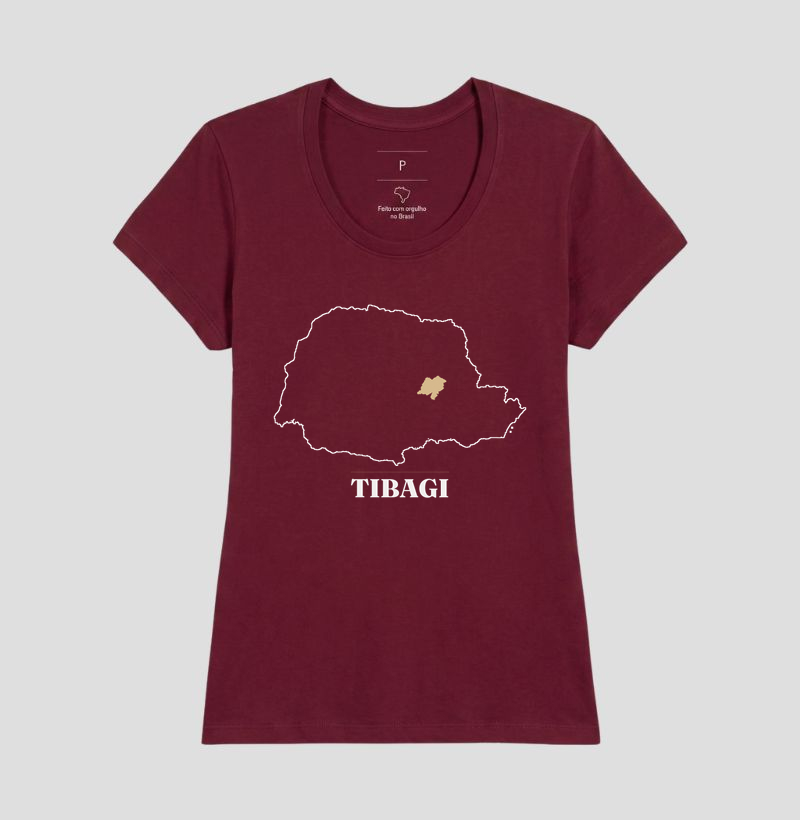 Tibagi | Traço PR - Imagem 19