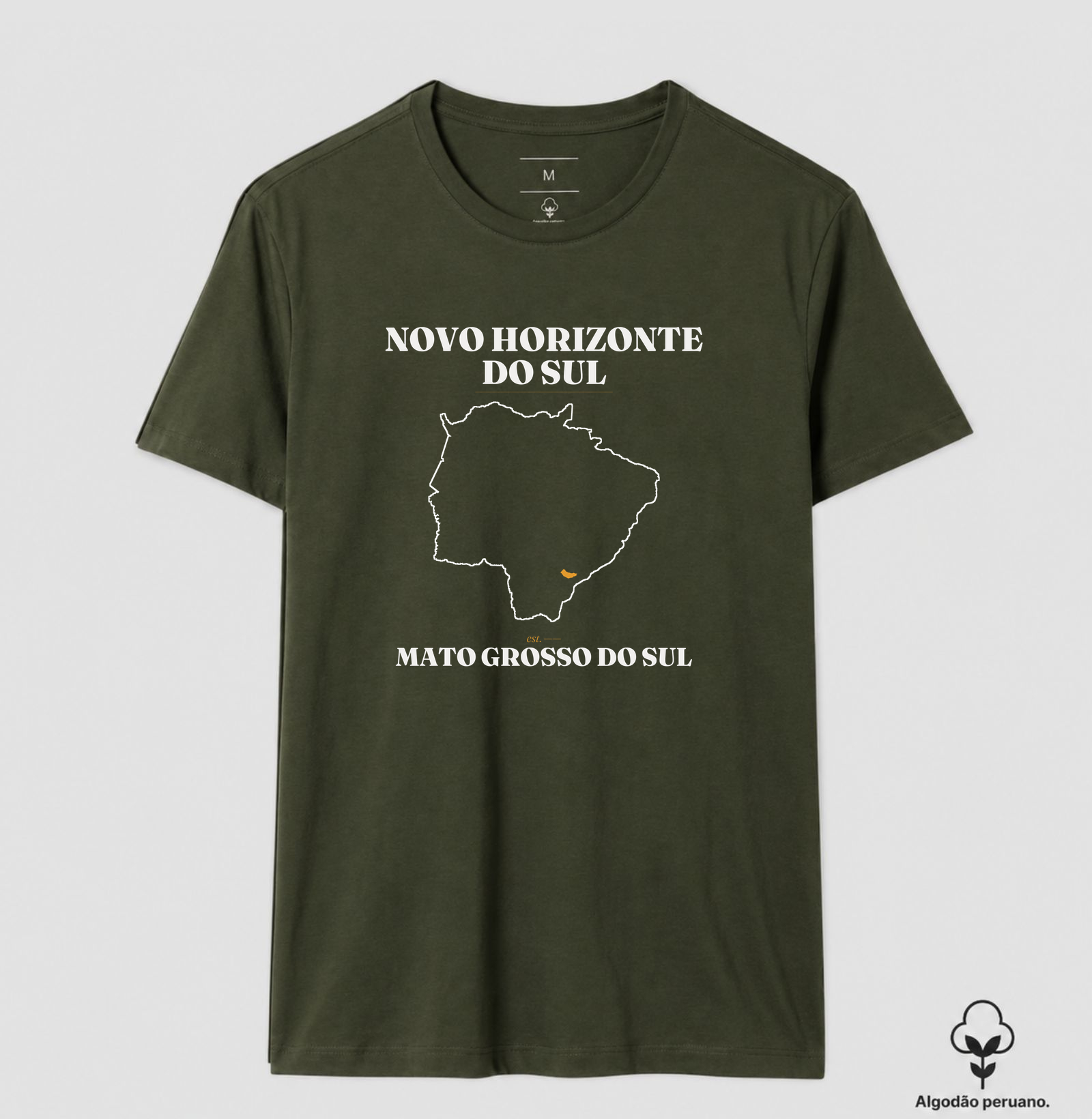 Novo Horizonte do Sul | Legado MS - Imagem 9