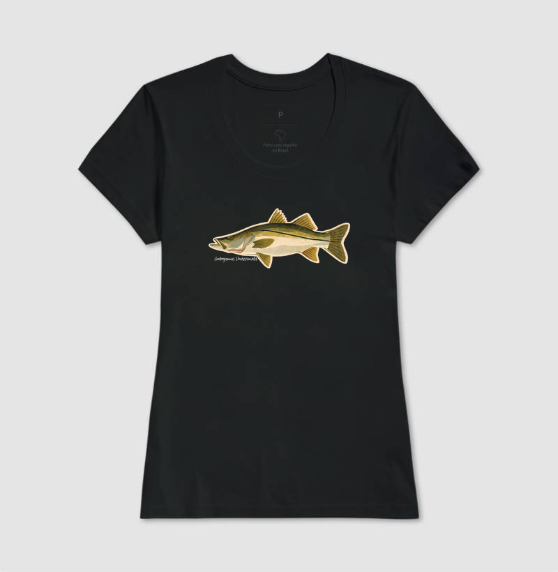 Robalo - Imagem 3
