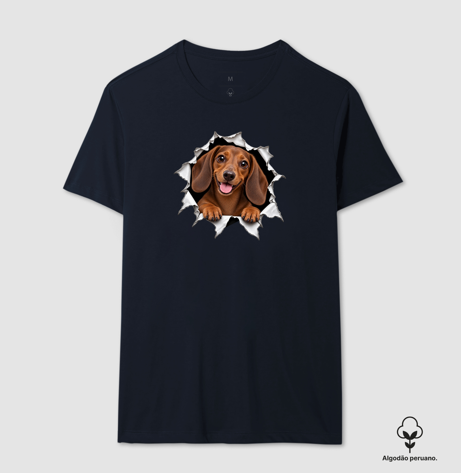 Dachshund Saindo Pelo Rasgo - Imagem 8
