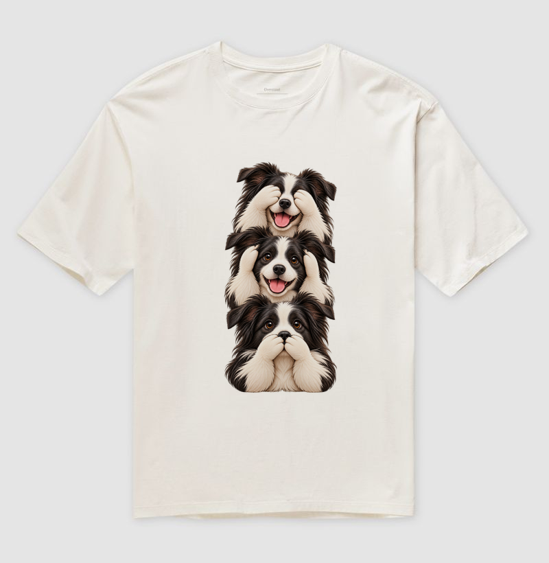 Ver, ouvir e falar Border Collie - Imagem 4