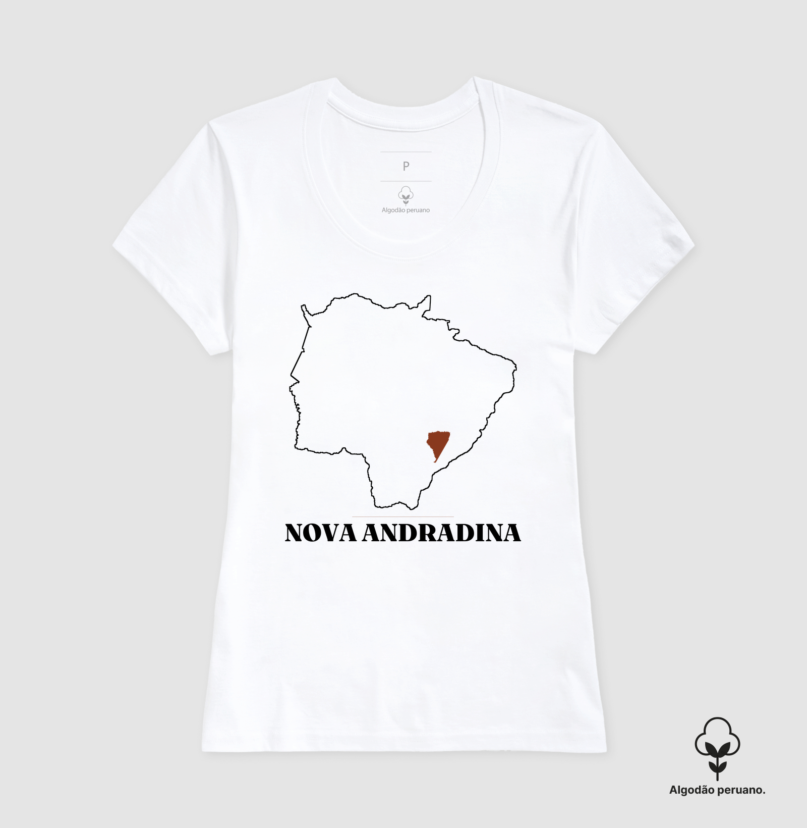 Nova Andradina | Traço MS - Imagem 4